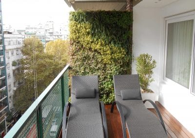 קיר ירוק במרפסת
