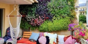 קיר צמחים למרפסת