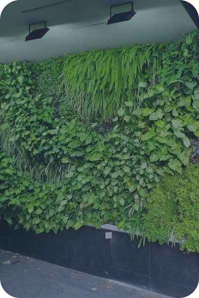 קיר ירוק בבית דירות