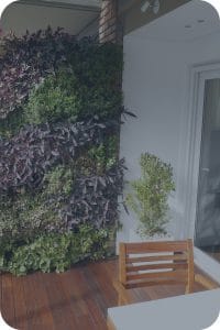 קיר ירוק למרפסת