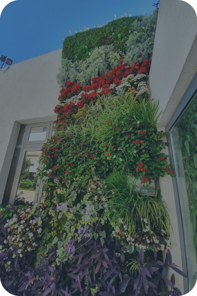 גינות אנכיות במלון סי הוטל