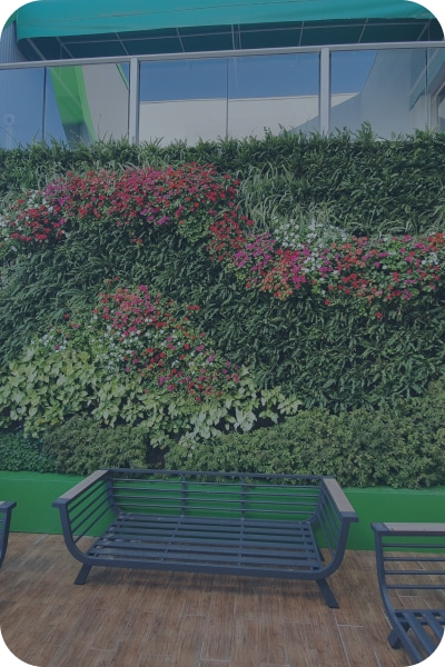 קיר ירוק בחברת עטרה