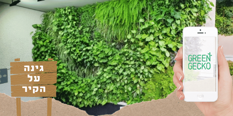 גרין גקו קיר צמחייה ירוק