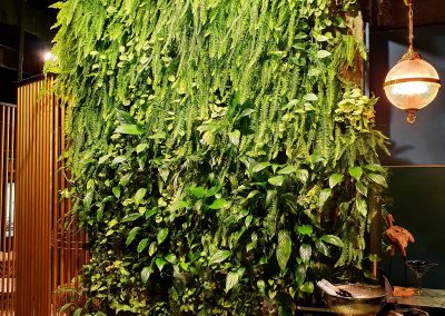 קיר ירוק בחדר אוכל