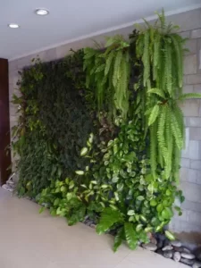 צמחים מטפסים