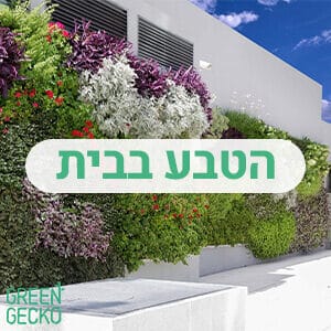 קיר צמחייה ירוקה - הטבע בבית